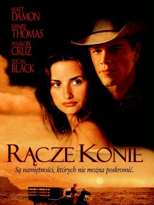 obraz Rącze konie